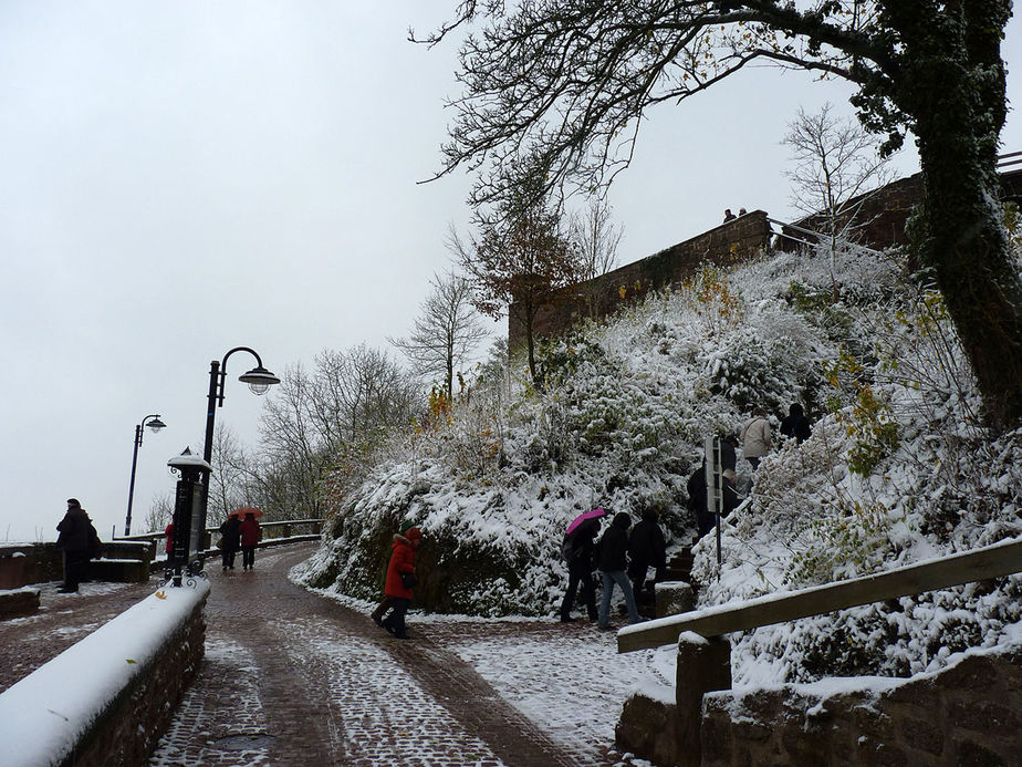 Ausflug zur Wartburg (Foto: Karl-Franz Thiede)